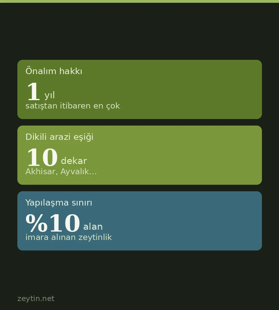 Zeytinlik alırken nelere dikkat edilmeli? Tapu, hisse ve bahçe kontrol listesi