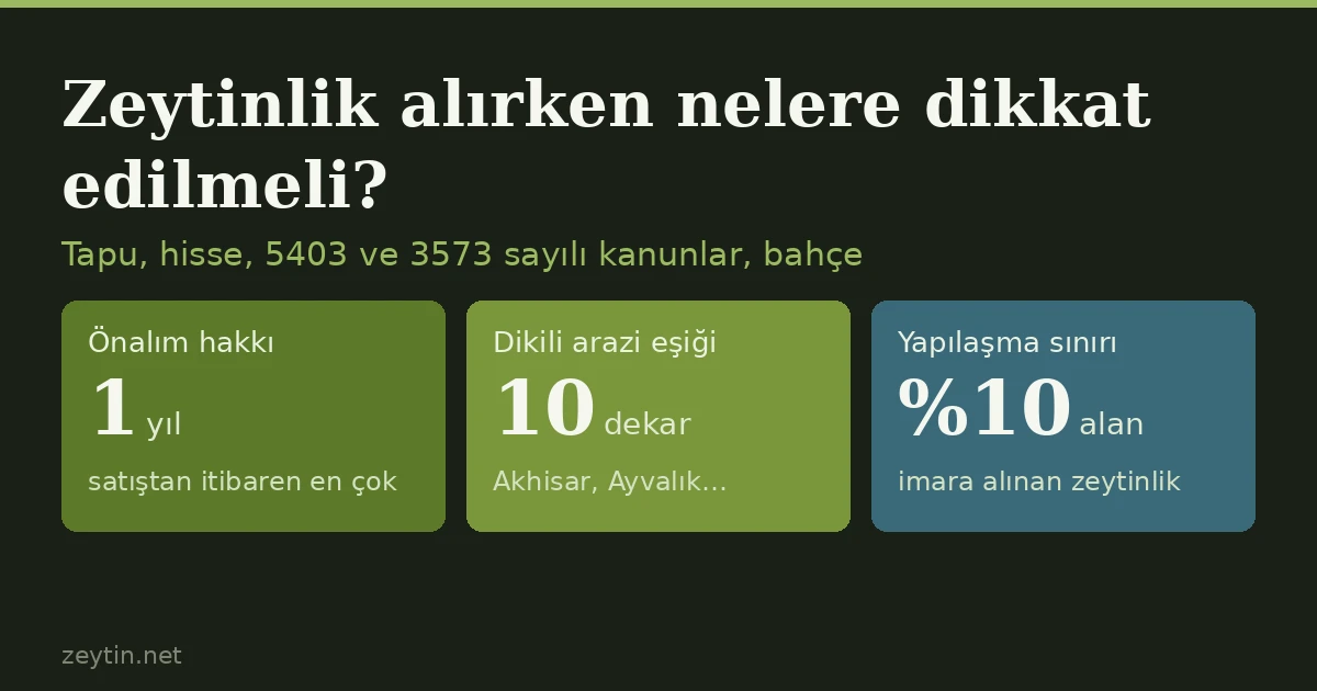 Zeytinlik alırken nelere dikkat edilmeli? Tapu, hisse ve bahçe kontrol listesi