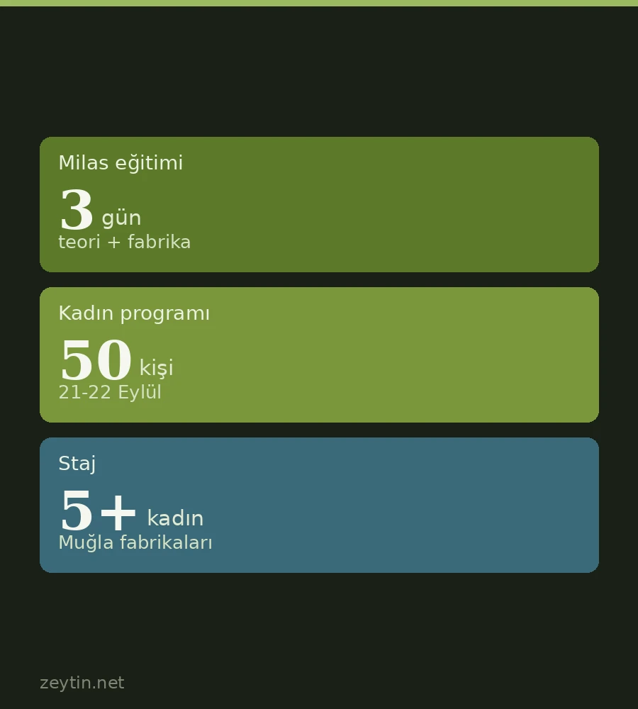 Skilled operators for olive mills: training ends in Milas, Muğla trains women operators