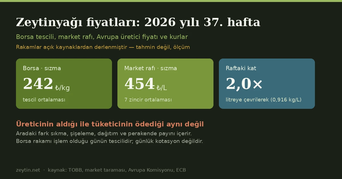 Zeytinyağı Fiyatları: 2026 Yılı 37. Hafta