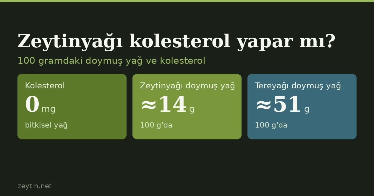 Zeytinyağı kolesterol yapar mı? Kolesterol içeriği, LDL ve "damar açar" iddiası