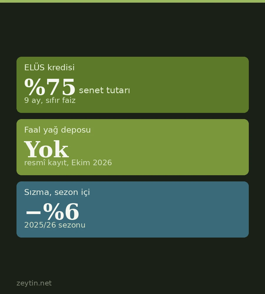 Küçük zeytin üreticisi neden hasatta satar? Lisanslı depo ve ELÜS ne sağlar?