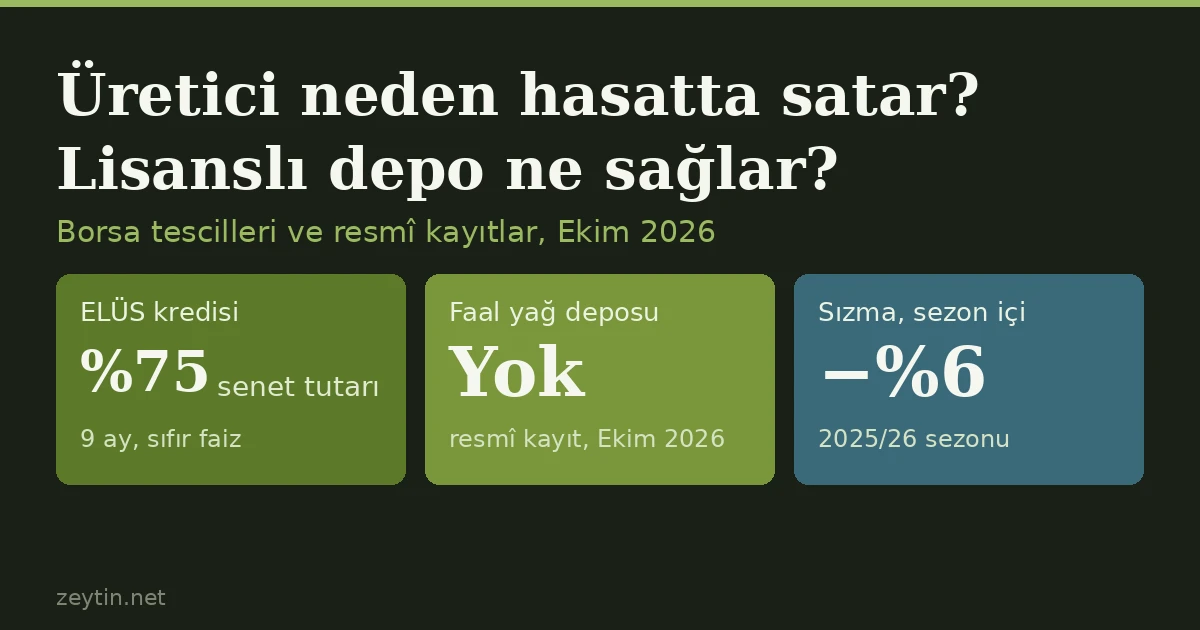 Küçük zeytin üreticisi neden hasatta satar? Lisanslı depo ve ELÜS ne sağlar?