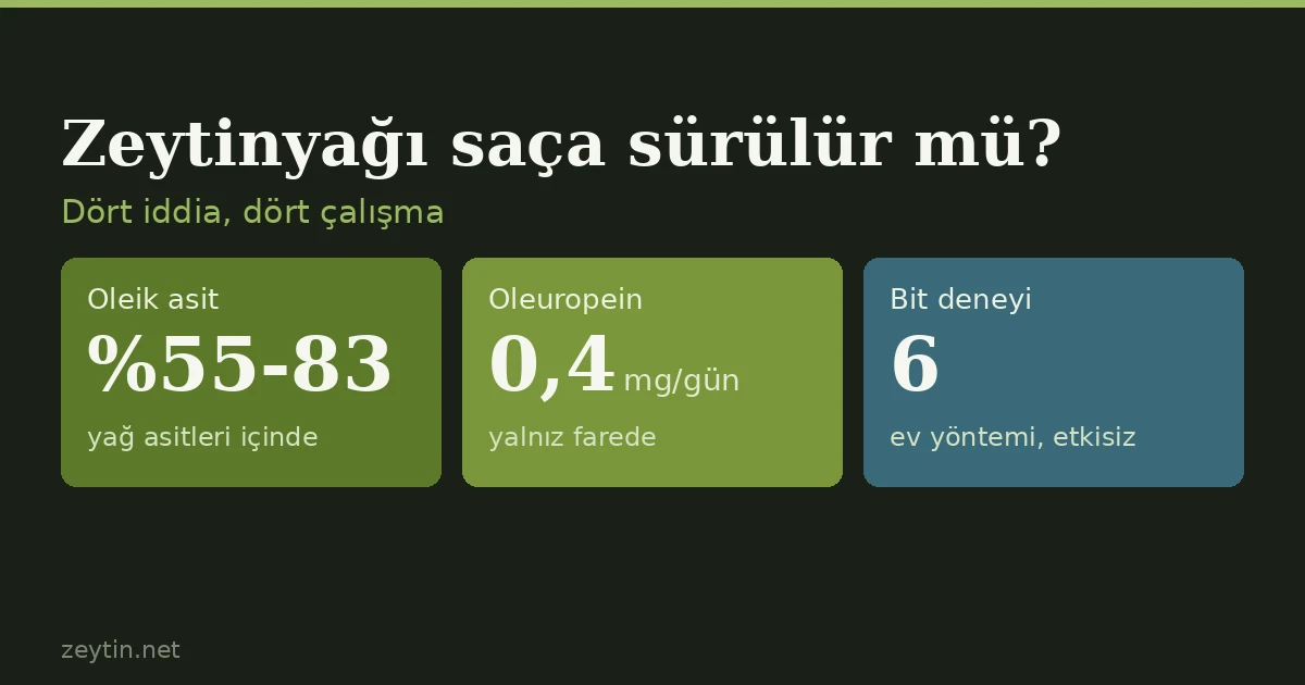 Zeytinyağı saça sürülür mü? Kepek, dökülme ve bit için kanıt ne diyor