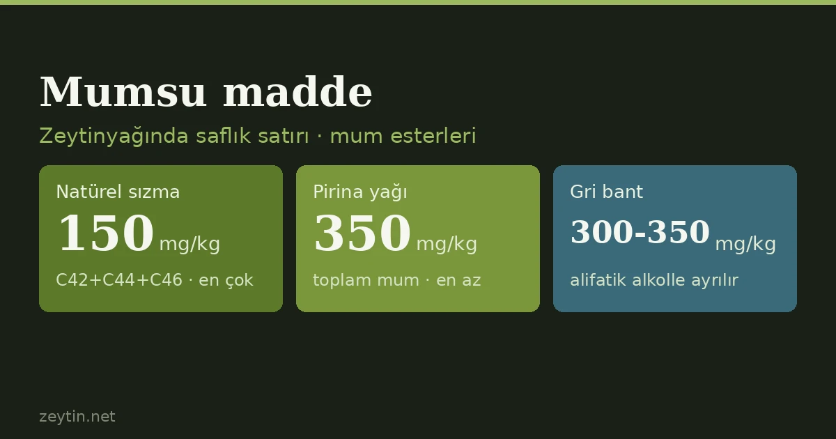 Zeytinyağında mumsu madde (mum esteri) nedir, neyi yakalar?